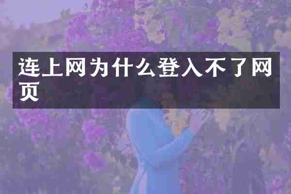 连上网为什么登入不了网页