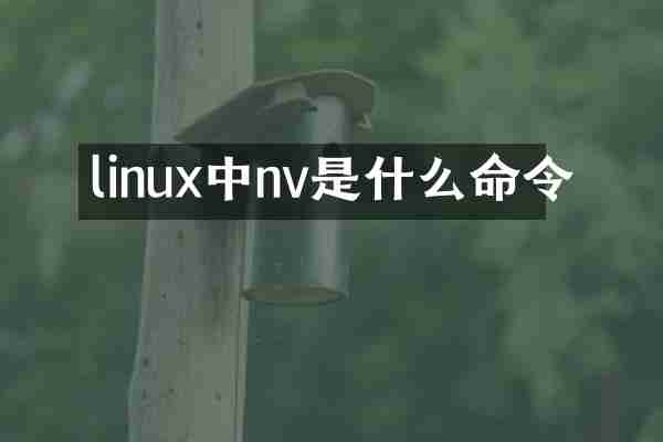linux中nv是什么命令