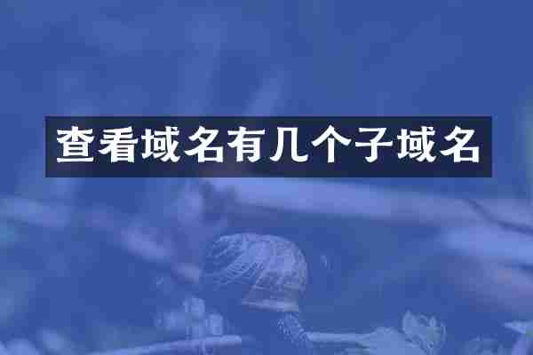 查看域名有几个子域名