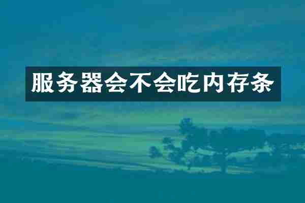 服务器会不会吃内存条