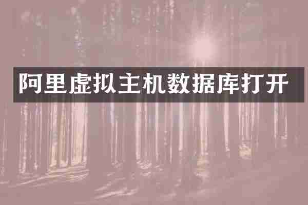 阿里虚拟主机数据库打开