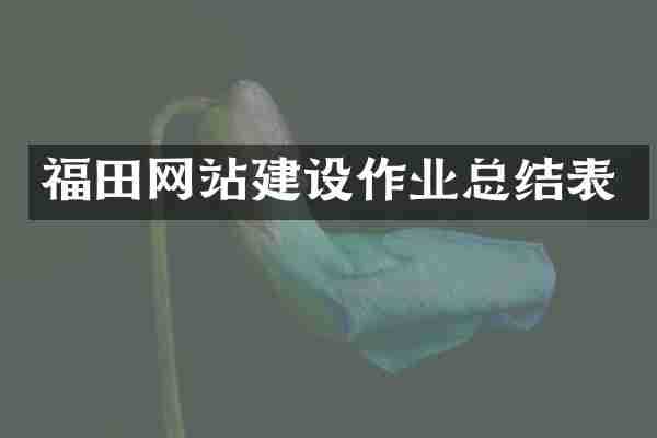 福田网站建设作业总结表