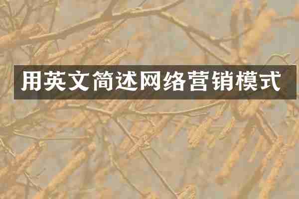 用英文简述网络营销模式