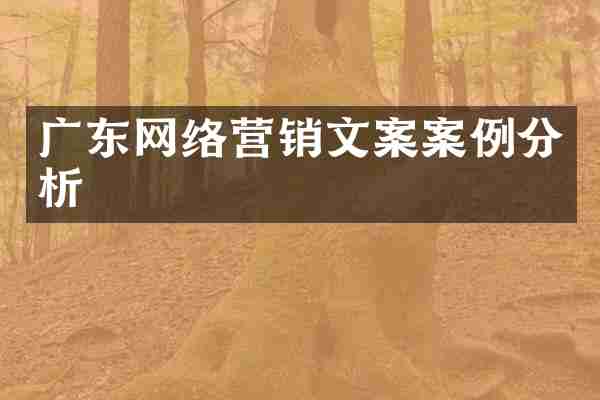 广东网络营销文案案例分析