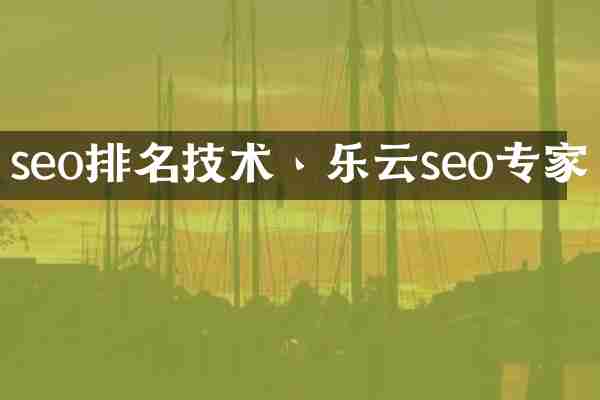 seo排名技术丶乐云seo专家