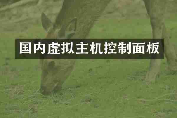 国内虚拟主机控制面板