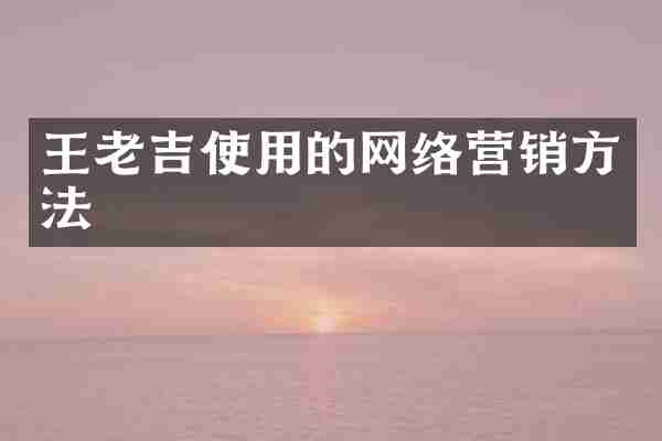 王老吉使用的网络营销方法