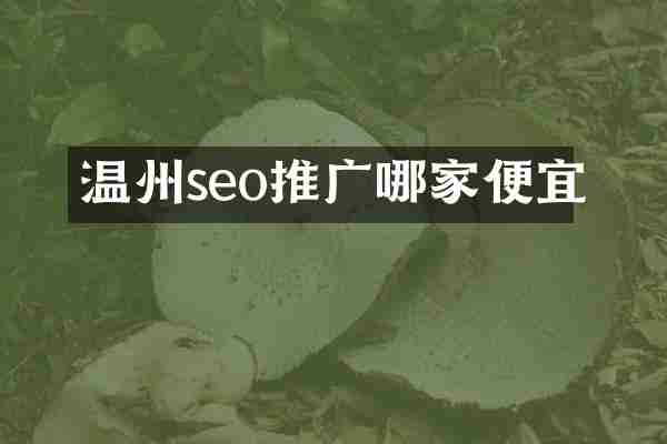 温州seo推广哪家便宜