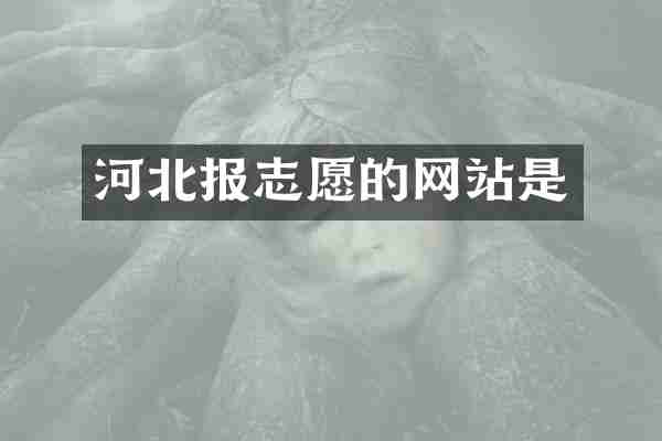 河北报志愿的网站是