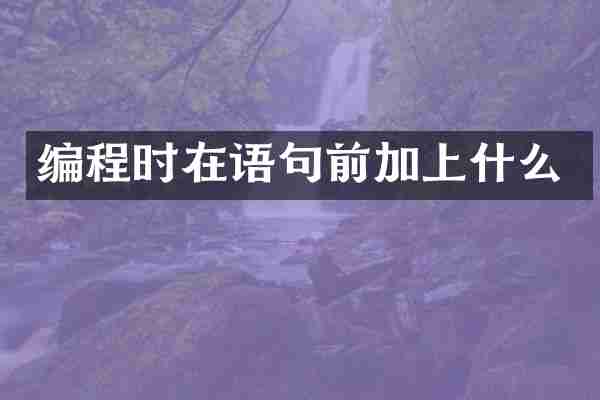 编程时在语句前加上什么