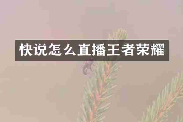 快说怎么直播王者荣耀