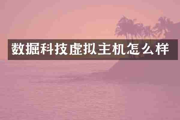 数掘科技虚拟主机怎么样