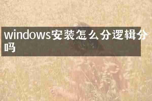 windows安装怎么分逻辑分区吗