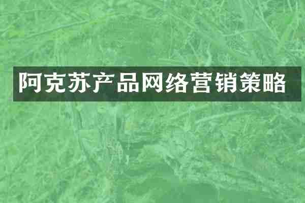 阿克苏产品网络营销策略