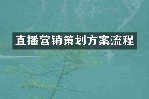 直播营销策划方案流程