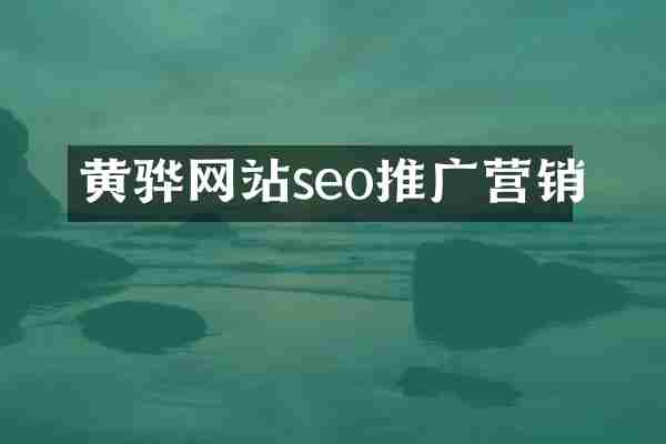 黄骅网站seo推广营销