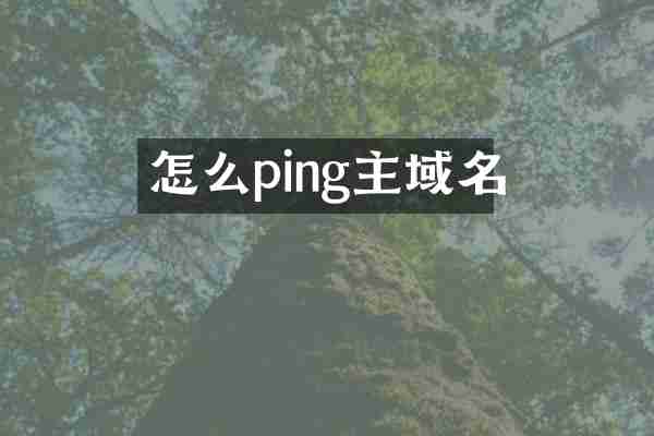 怎么ping主域名