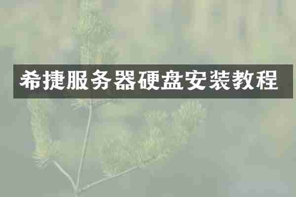 希捷服务器硬盘安装教程