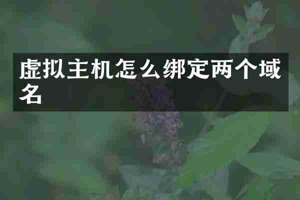 虚拟主机怎么绑定两个域名