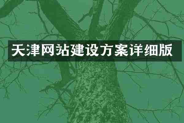 天津网站建设方案详细版