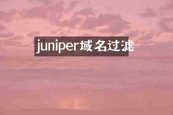 juniper域名过滤