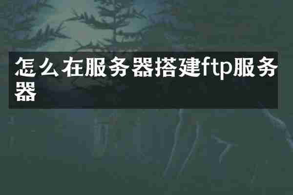 怎么在服务器搭建ftp服务器
