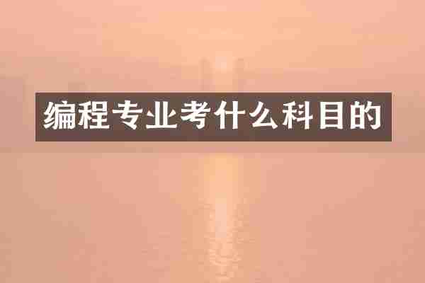 编程专业考什么科目的