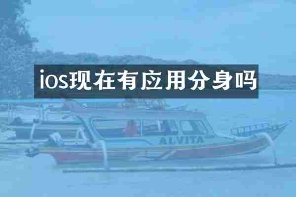 ios现在有应用分身吗