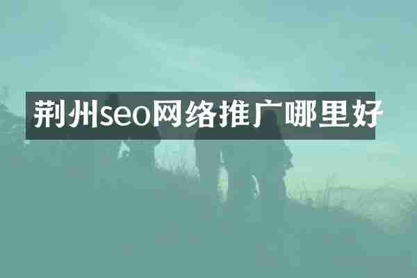 荆州seo网络推广哪里好