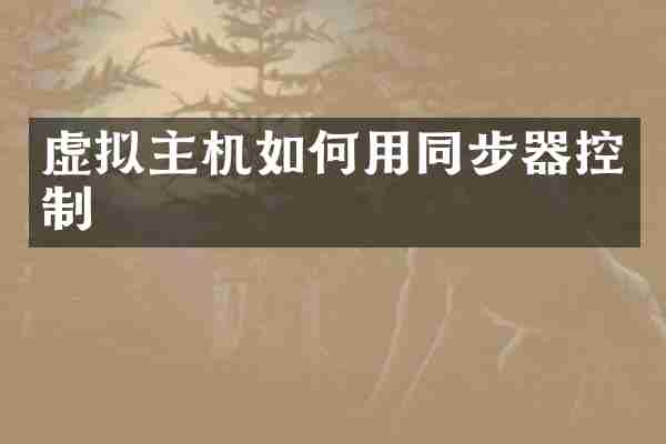 虚拟主机如何用同步器控制