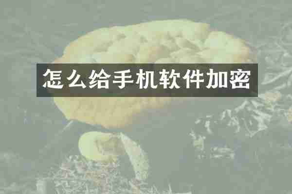 怎么给手机软件加密