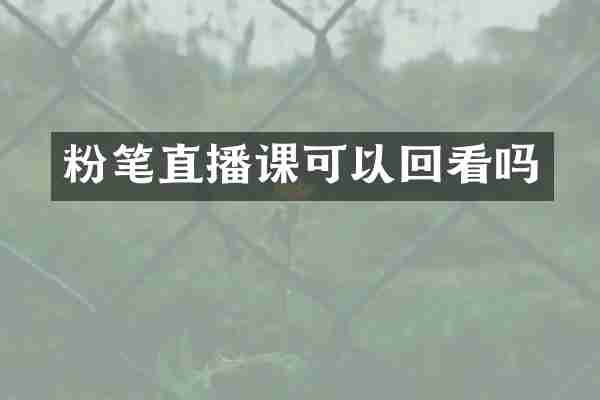 粉笔直播课可以回看吗