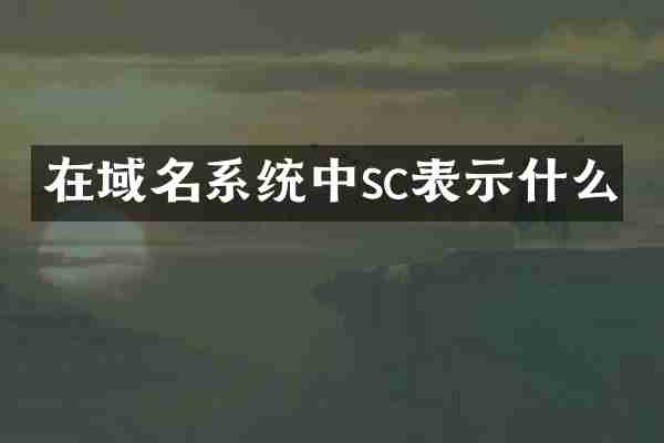 在域名系统中sc表示什么