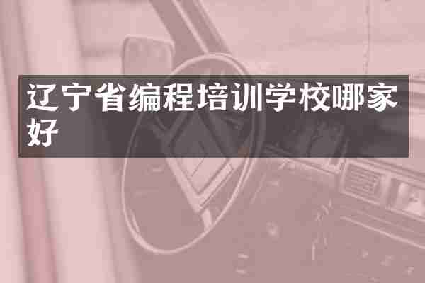 辽宁省编程培训学校哪家好