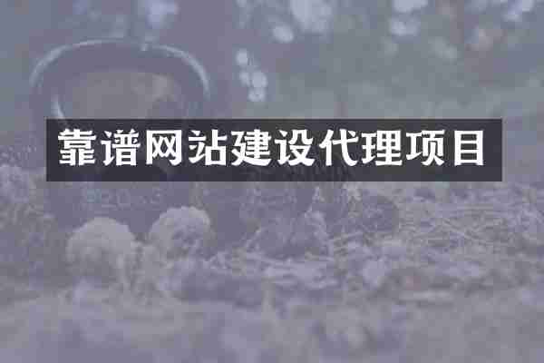 靠谱网站建设代理项目