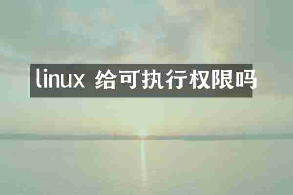 linux 给可执行权限吗