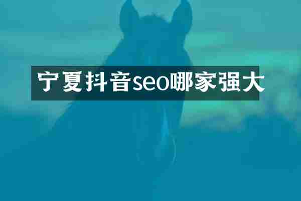 宁夏抖音seo哪家强大