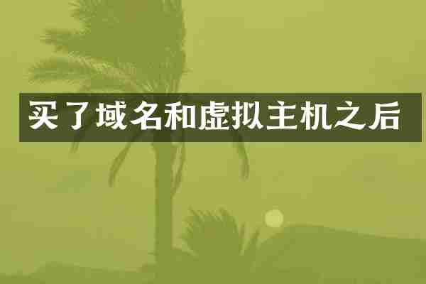 买了域名和虚拟主机之后
