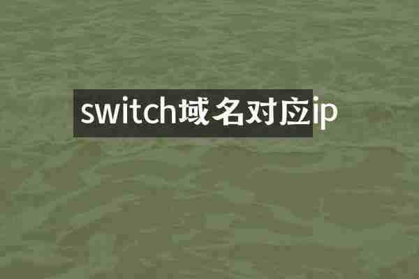 switch域名对应ip