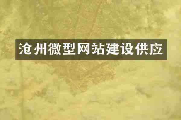 沧州微型网站建设供应
