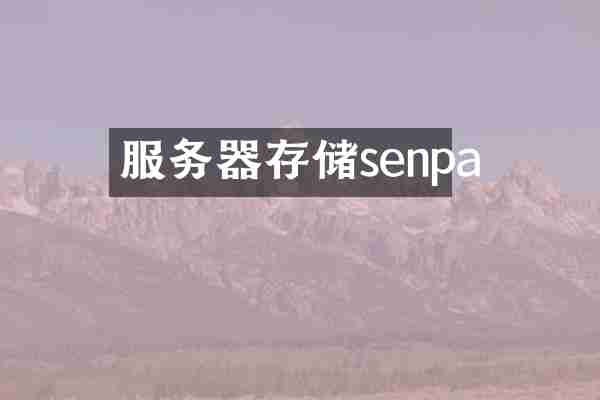 服务器存储senpa