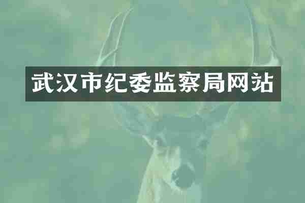 武汉市纪委监察局网站