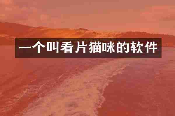 一个叫看片猫咪的软件
