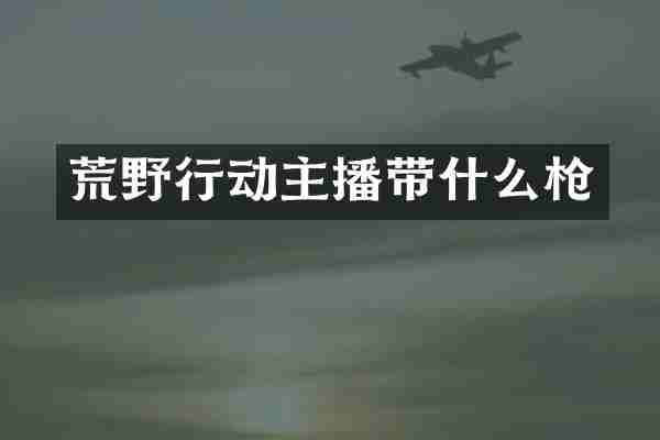 荒野行动主播带什么枪