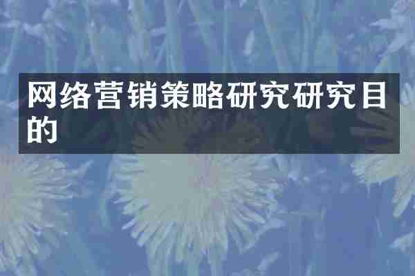 网络营销策略研究研究目的
