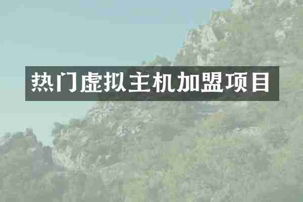 热门虚拟主机加盟项目