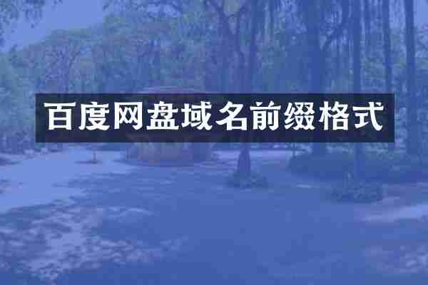百度网盘域名前缀格式