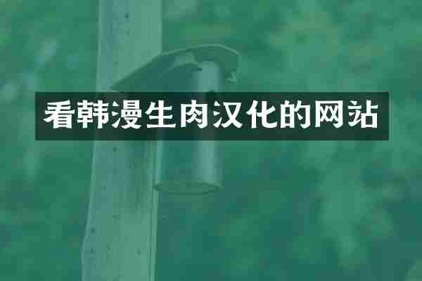 看韩漫生肉汉化的网站