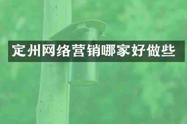 定州网络营销哪家好做些