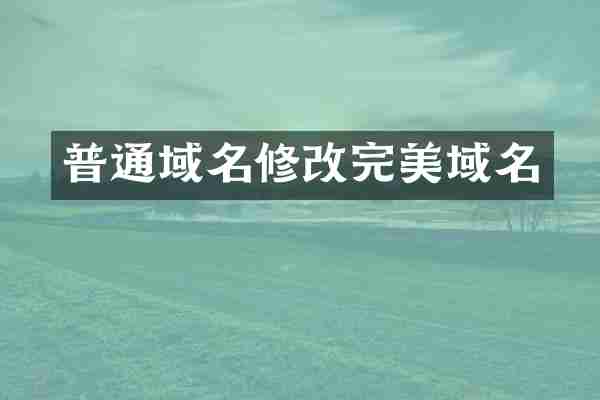 普通域名修改完美域名